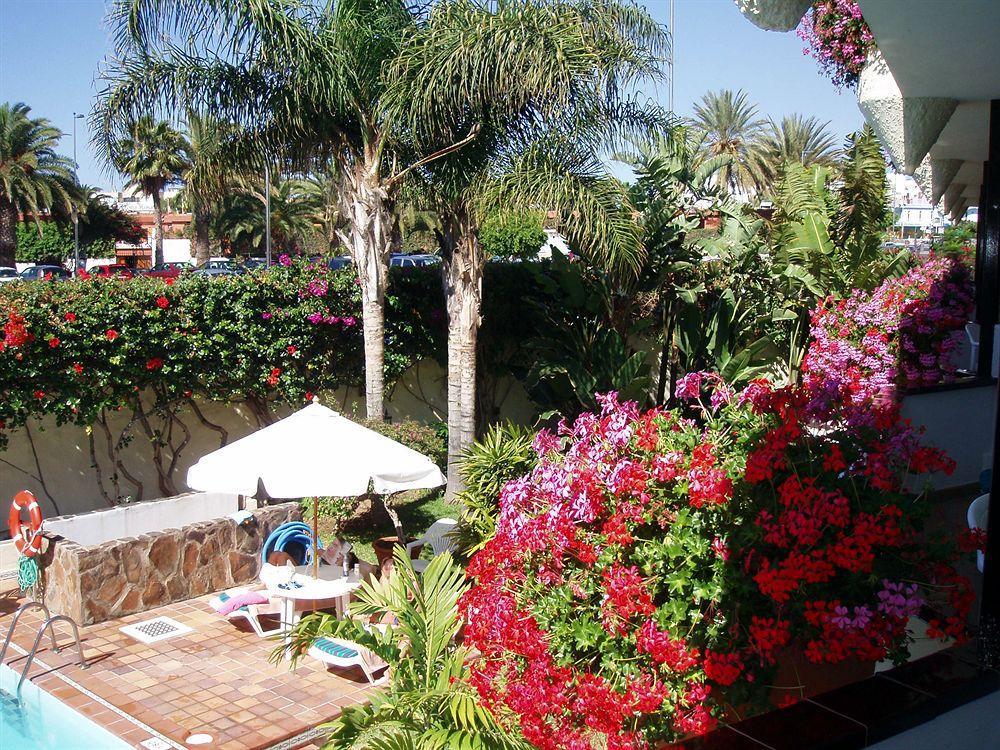 Alsol Nogal (Adults Only) Appartement Playa del Inglés Buitenkant foto