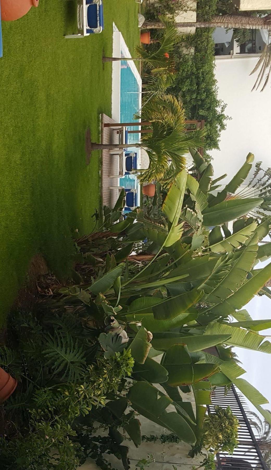 Alsol Nogal (Adults Only) Appartement Playa del Inglés Buitenkant foto